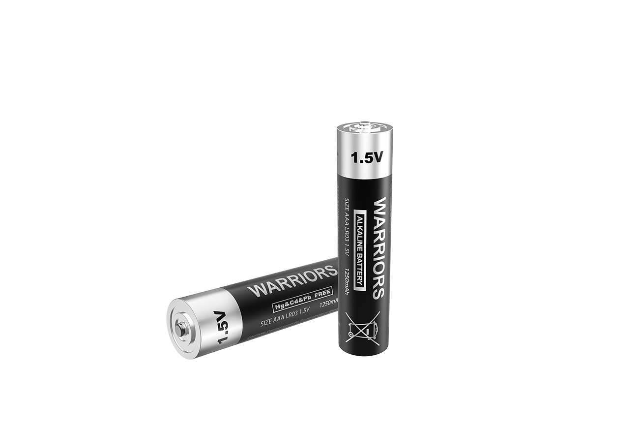 AAA Alkaline Batteries