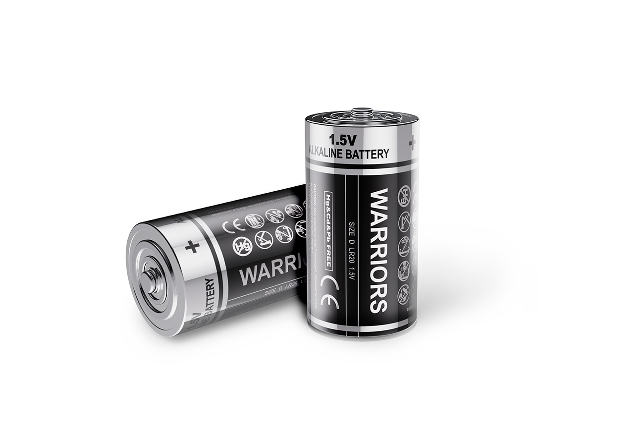 D Alkaline Batteries