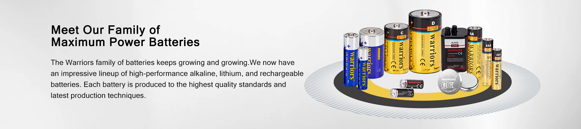 alkaline batteries wholesale