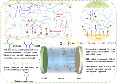 New materials enable lithium metal batteries to achieve ultra-long cycle life